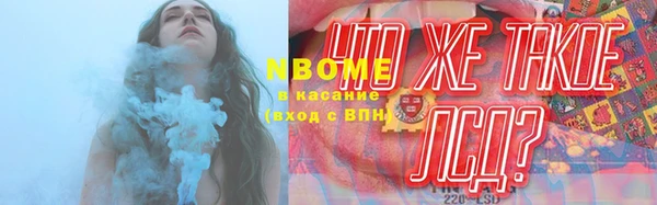 индика Алексин