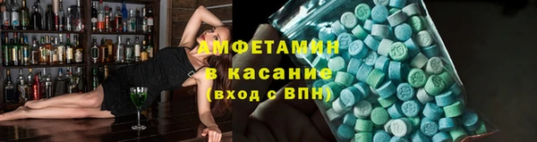 индика Алексин