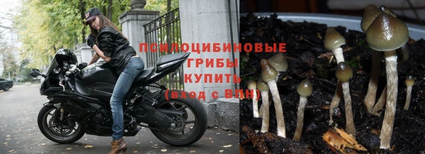 бутират Абаза