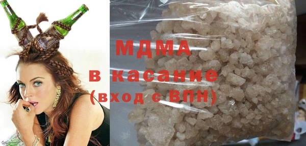 индика Алексин