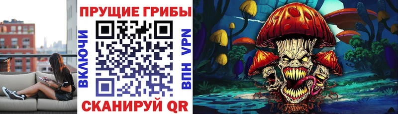 как найти закладки  Керчь  Галлюциногенные грибы GOLDEN TEACHER 