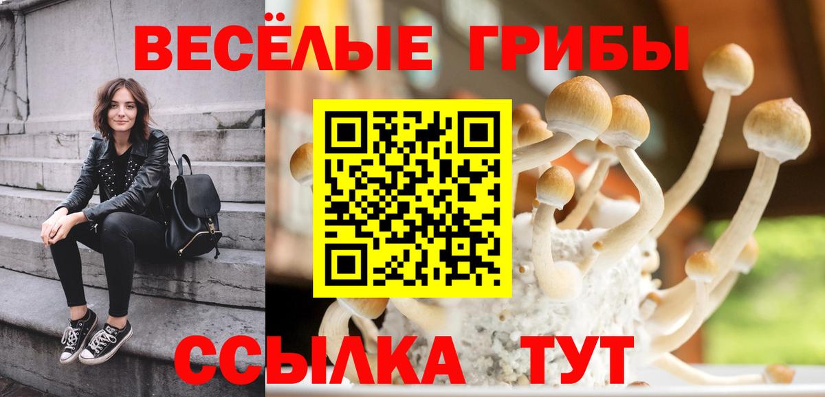 Псилоцибиновые грибы GOLDEN TEACHER Керчь