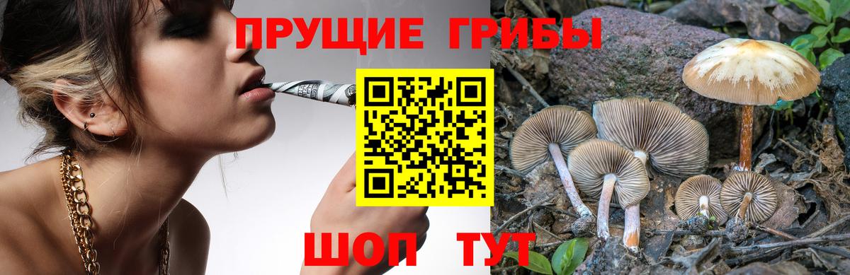 Галлюциногенные грибы прущие грибы  Вход с VPN  где найти   Галлюциногенные грибы GOLDEN TEACHER  Керчь 